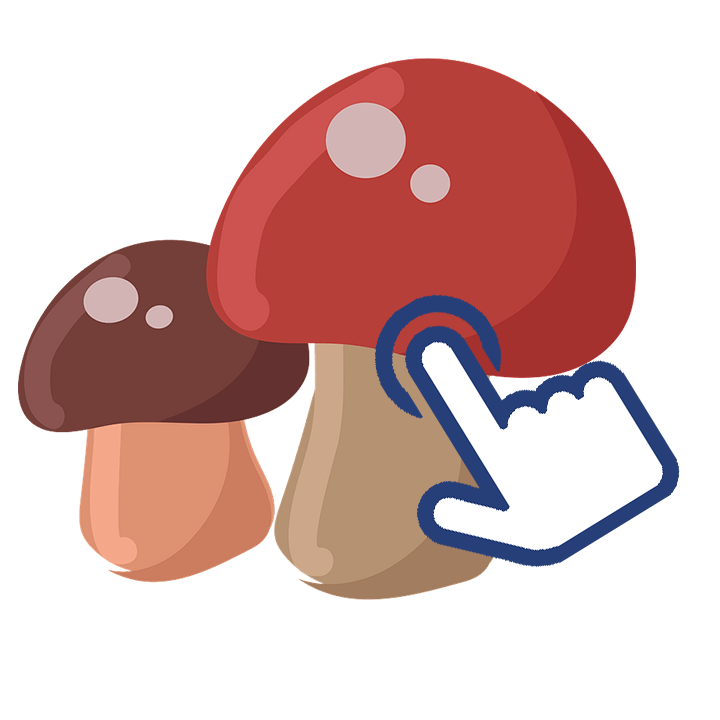 Links and resources